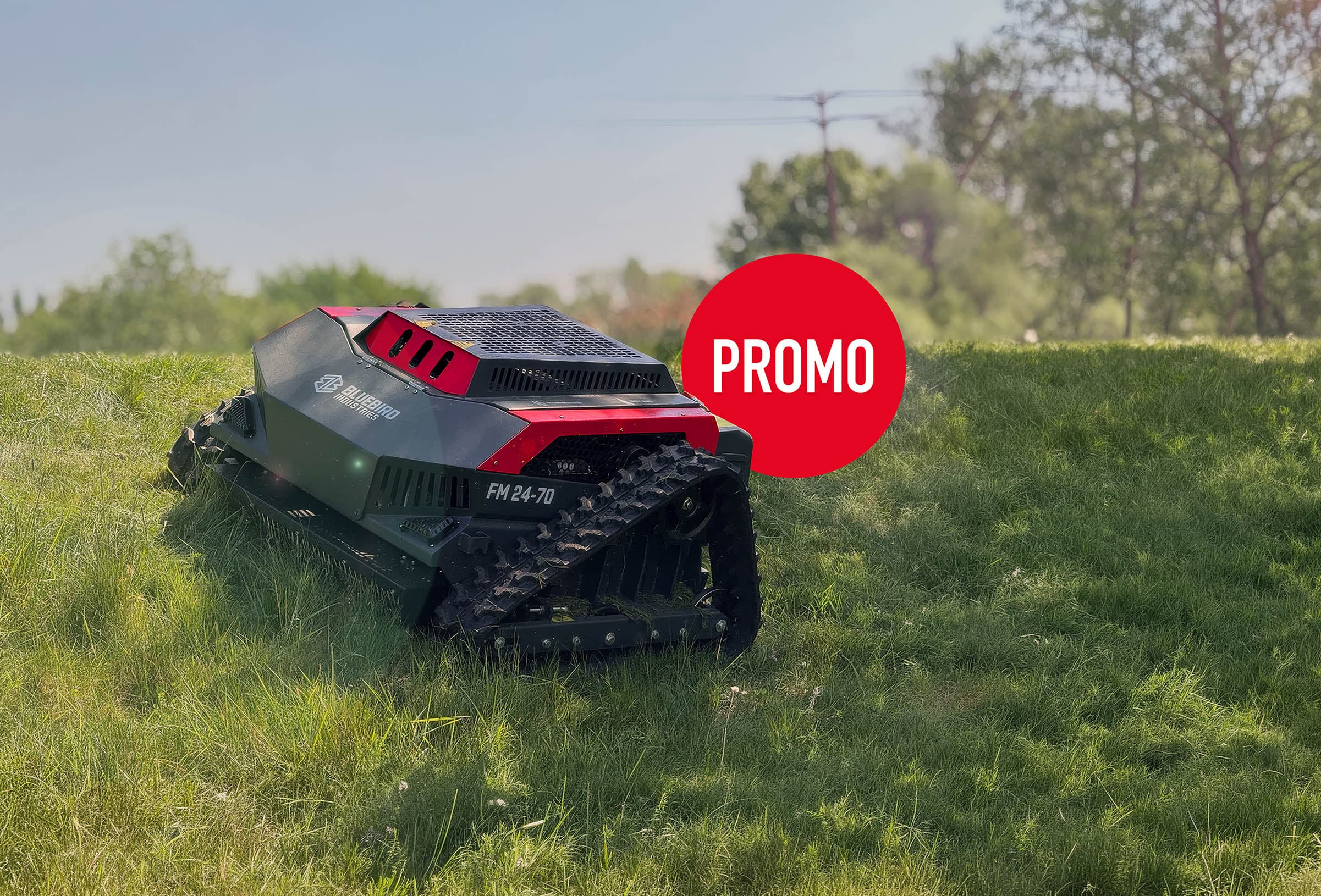 Bluebird bush master promo 